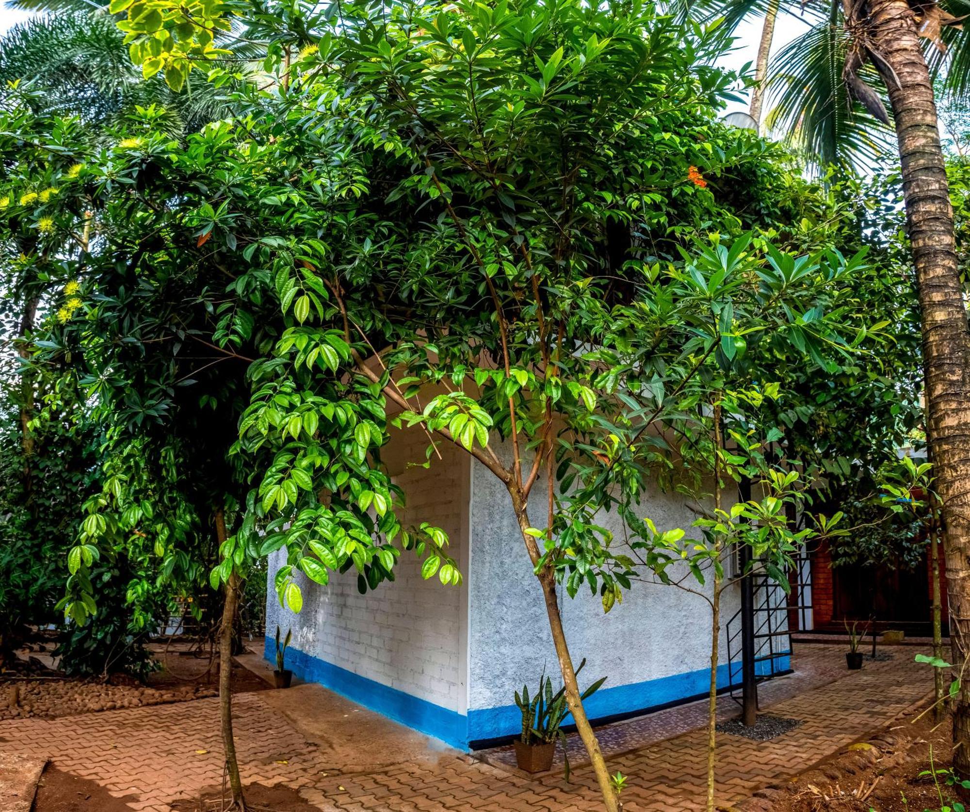 Jays Place Matale Kawudupelella Exterior foto